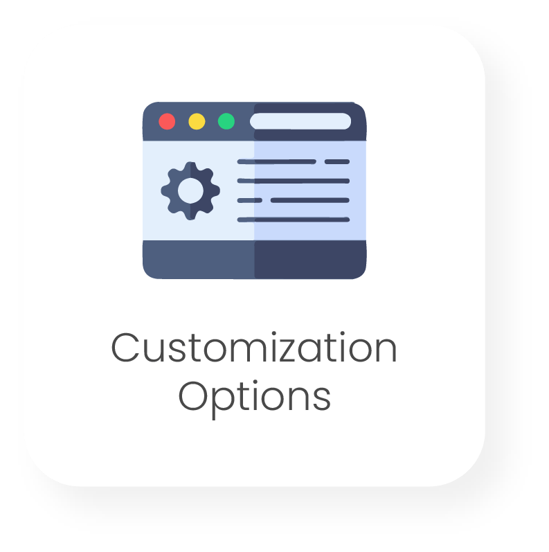 customization options icon